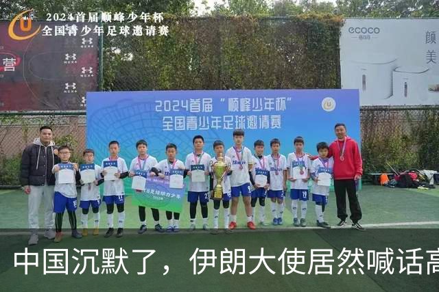 中国沉默了，伊朗大使居然喊话高市早苗政府：伊日有着千年友谊